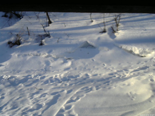 長野県菅平高原 ゆたか山荘 東側(坂下) 2026/03/14 06:30