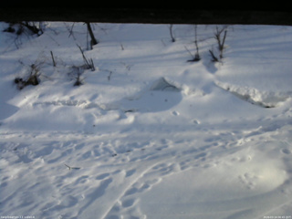 長野県菅平高原 ゆたか山荘 東側(坂下) 2026/03/14 06:45