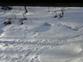 長野県菅平高原 ゆたか山荘 東側(坂下) 2026/03/14 07:00