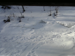 長野県菅平高原 ゆたか山荘 東側(坂下) 2026/03/14 07:15