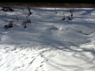 長野県菅平高原 ゆたか山荘 東側(坂下) 2026/03/14 08:00