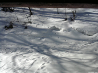 長野県菅平高原 ゆたか山荘 東側(坂下) 2026/03/14 08:15