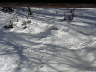長野県菅平高原 ゆたか山荘 東側(坂下) 2026/03/14 08:30