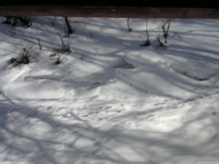 長野県菅平高原 ゆたか山荘 東側(坂下) 2026/03/14 08:45