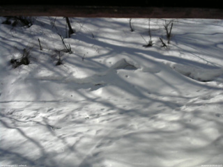 長野県菅平高原 ゆたか山荘 東側(坂下) 2026/03/14 09:00