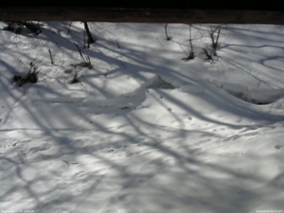 長野県菅平高原 ゆたか山荘 東側(坂下) 2026/03/14 09:15