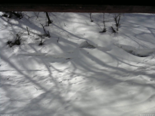 長野県菅平高原 ゆたか山荘 東側(坂下) 2026/03/14 09:30