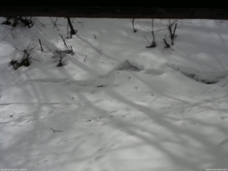 長野県菅平高原 ゆたか山荘 東側(坂下) 2026/03/14 09:45