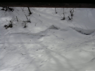 長野県菅平高原 ゆたか山荘 東側(坂下) 2026/03/14 10:00