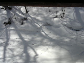 長野県菅平高原 ゆたか山荘 東側(坂下) 2026/03/14 10:15