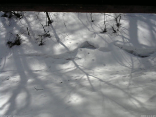 長野県菅平高原 ゆたか山荘 東側(坂下) 2026/03/14 10:30