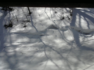 長野県菅平高原 ゆたか山荘 東側(坂下) 2026/03/14 10:45