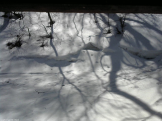 長野県菅平高原 ゆたか山荘 東側(坂下) 2026/03/14 11:00