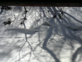 長野県菅平高原 ゆたか山荘 東側(坂下) 2026/03/14 11:15