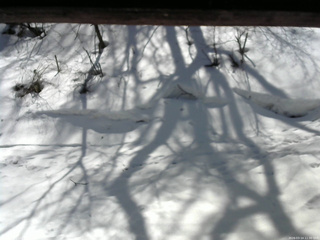 長野県菅平高原 ゆたか山荘 東側(坂下) 2026/03/14 11:30