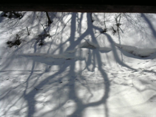 長野県菅平高原 ゆたか山荘 東側(坂下) 2026/03/14 11:45
