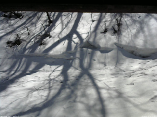 長野県菅平高原 ゆたか山荘 東側(坂下) 2026/03/14 12:15