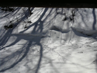 長野県菅平高原 ゆたか山荘 東側(坂下) 2026/03/14 12:30