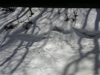 長野県菅平高原 ゆたか山荘 東側(坂下) 2026/03/14 12:45