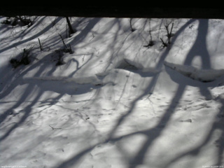 長野県菅平高原 ゆたか山荘 東側(坂下) 2026/03/14 13:00