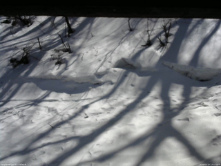 長野県菅平高原 ゆたか山荘 東側(坂下) 2026/03/14 13:15