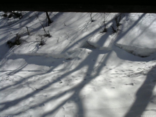 長野県菅平高原 ゆたか山荘 東側(坂下) 2026/03/14 13:30