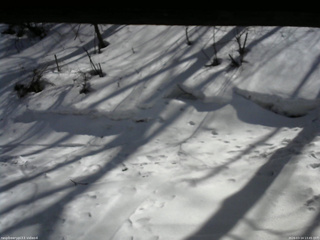 長野県菅平高原 ゆたか山荘 東側(坂下) 2026/03/14 13:45