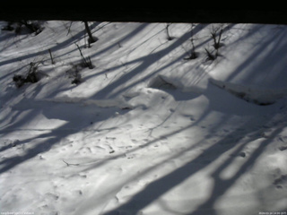 長野県菅平高原 ゆたか山荘 東側(坂下) 2026/03/14 14:00