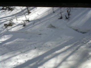 長野県菅平高原 ゆたか山荘 東側(坂下) 2026/03/14 14:15