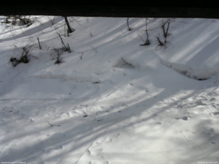 長野県菅平高原 ゆたか山荘 東側(坂下) 2026/03/14 14:30