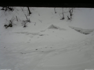 長野県菅平高原 ゆたか山荘 東側(坂下) 2026/03/14 15:00