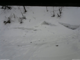 長野県菅平高原 ゆたか山荘 東側(坂下) 2026/03/14 15:30