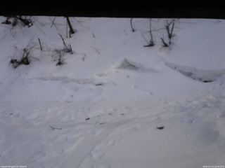 長野県菅平高原 ゆたか山荘 東側(坂下) 2026/03/14 16:00