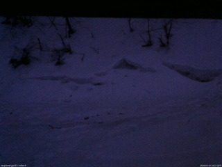 長野県菅平高原 ゆたか山荘 東側(坂下) 2026/03/14 18:15