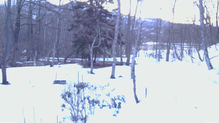 長野県菅平高原 ゆたか山荘 坂上 2026/03/14 06:00