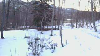 長野県菅平高原 ゆたか山荘 坂上 2026/03/14 06:15