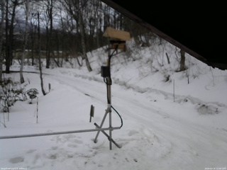 長野県菅平高原 ゆたか山荘 南側 2026/03/15 12:00