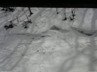 長野県菅平高原 ゆたか山荘 東側(坂下) 2026/03/15 12:45