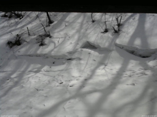長野県菅平高原 ゆたか山荘 東側(坂下) 2026/03/15 13:00