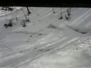 長野県菅平高原 ゆたか山荘 東側(坂下) 2026/03/15 14:30