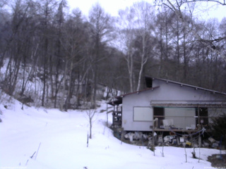 長野県菅平高原 ゆたか山荘 西側(坂上) 2026/03/15 06:00