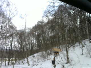 長野県菅平高原 ゆたか山荘 温度計 2026/03/15 11:15