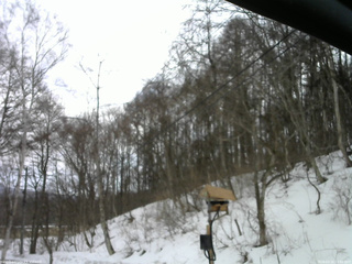 長野県菅平高原 ゆたか山荘 温度計 2026/03/15 12:00