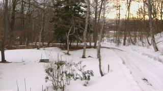 長野県菅平高原 ゆたか山荘 坂上 2026/03/15 06:30