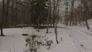 長野県菅平高原 ゆたか山荘 坂上 2026/03/15 07:15