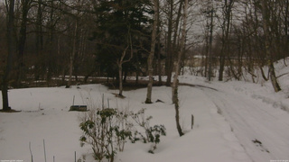 長野県菅平高原 ゆたか山荘 坂上 2026/03/15 07:30