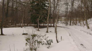 長野県菅平高原 ゆたか山荘 坂上 2026/03/15 08:00