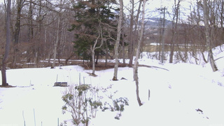 長野県菅平高原 ゆたか山荘 坂上 2026/03/15 09:00