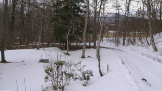 長野県菅平高原 ゆたか山荘 坂上 2026/03/15 09:15