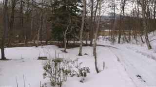 長野県菅平高原 ゆたか山荘 坂上 2026/03/15 09:30